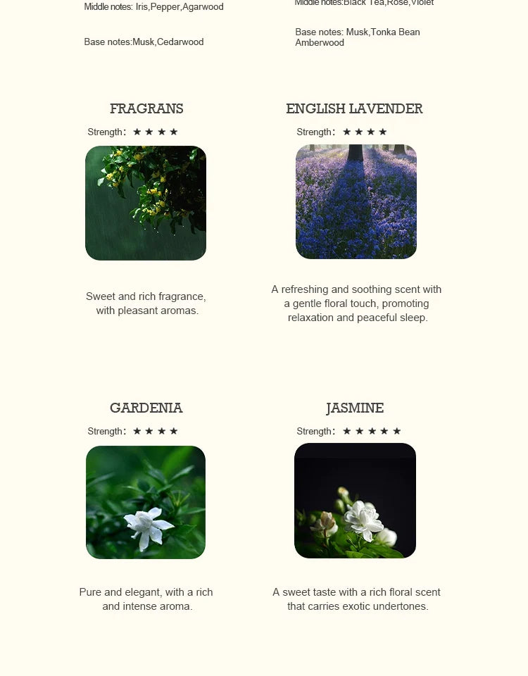 Huile Essentielle Parfumée 500ml - Multi-Arômes pour Diffuseur - Aromathérapie