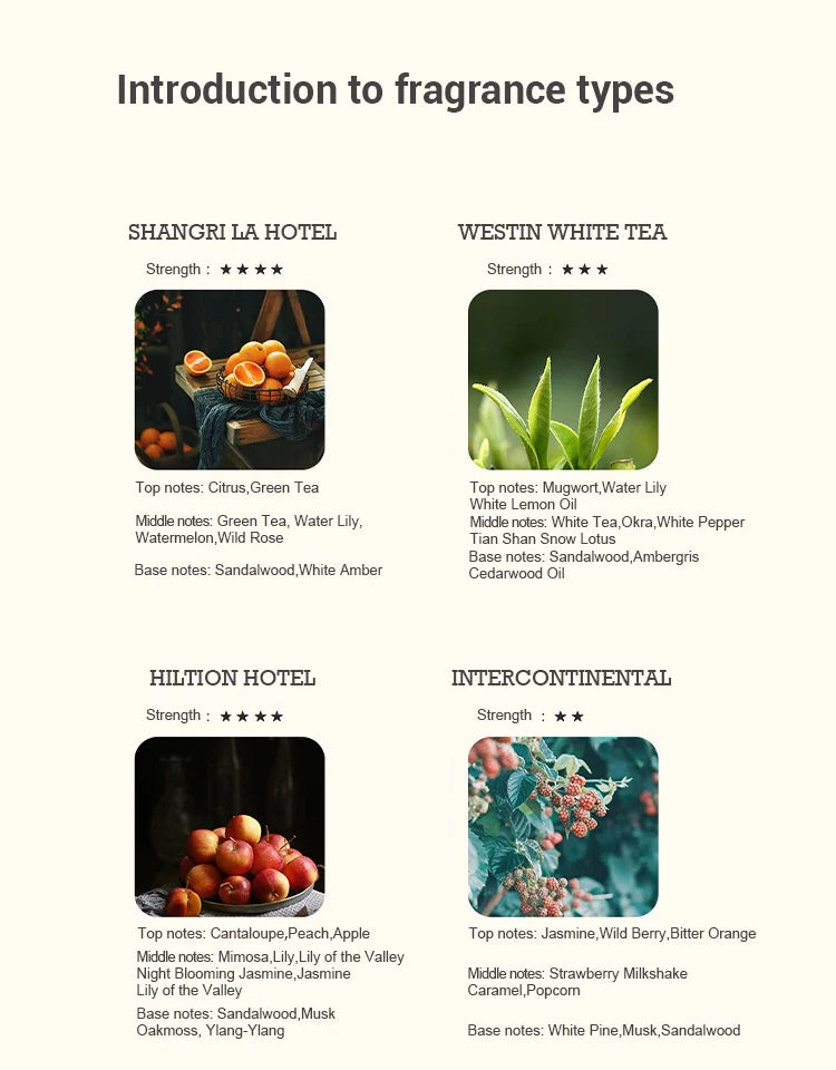 Huile Essentielle Parfumée 500ml - Multi-Arômes pour Diffuseur - Aromathérapie