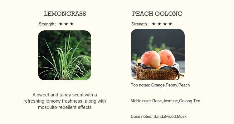 Huile Essentielle Parfumée 500ml - Multi-Arômes pour Diffuseur - Aromathérapie