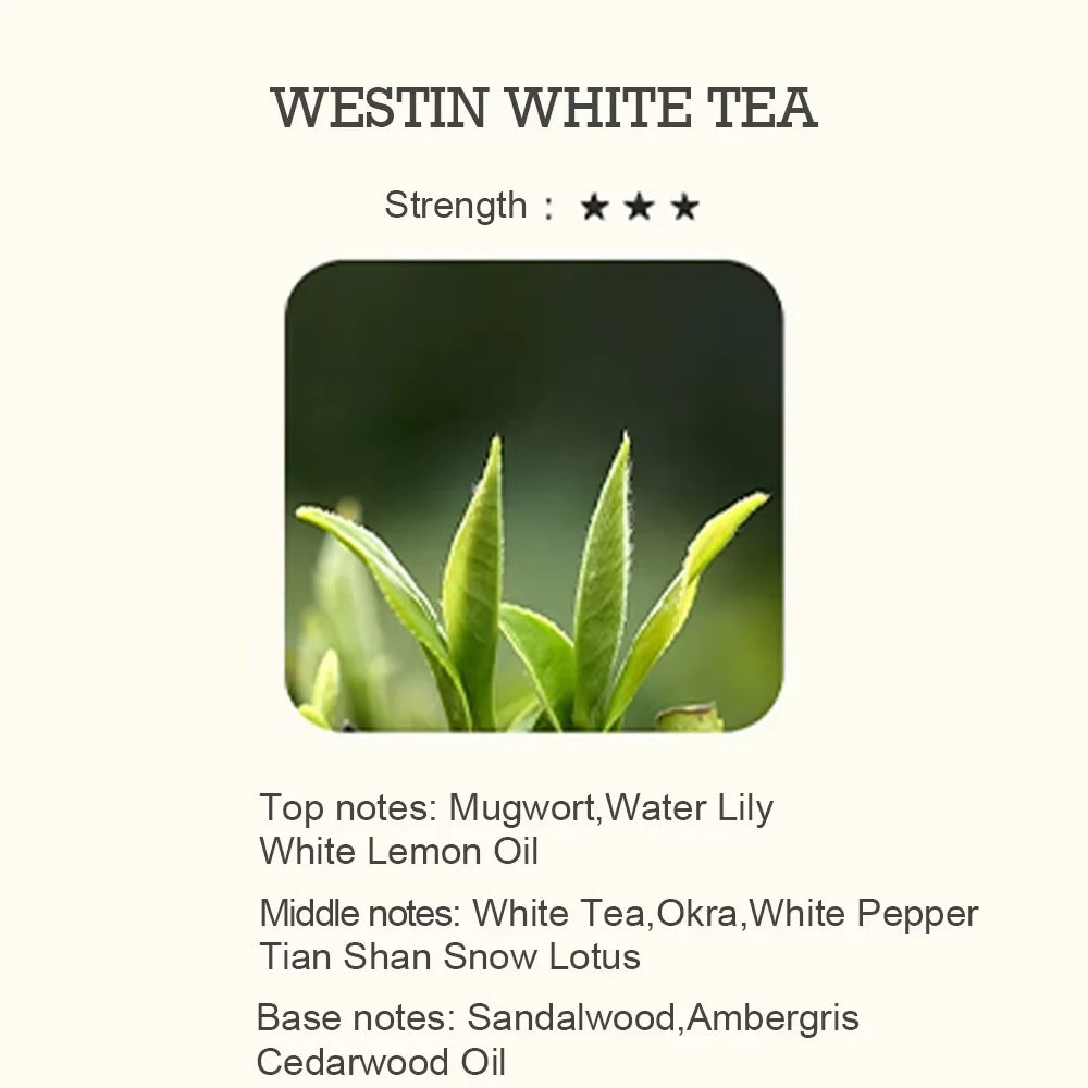 Huile Essentielle Parfumée 500ml - Multi-Arômes pour Diffuseur - Aromathérapie