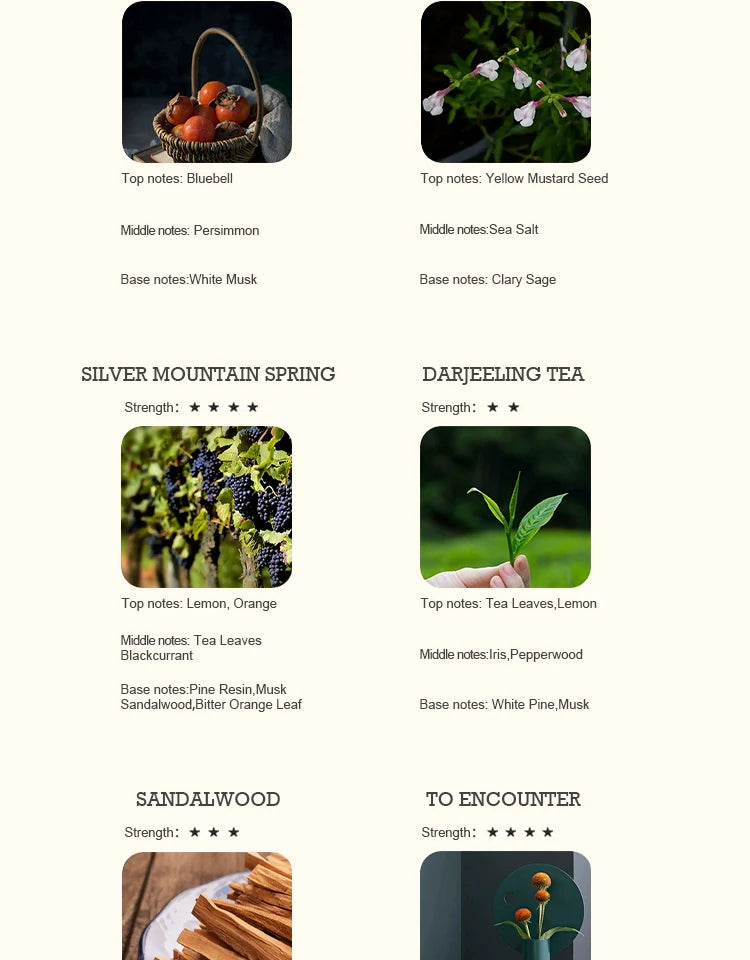 Huile Essentielle Parfumée 500ml - Multi-Arômes pour Diffuseur - Aromathérapie